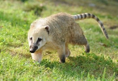 Wild- und Freizeitpark Klotten