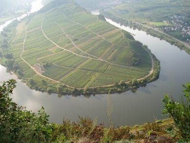 Mosel-Ferienwohnung Backes