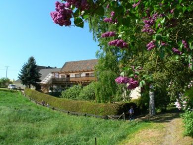 Ferienhof Hölzmann - Urlaub auf unserem Bauernhof