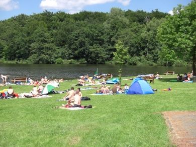 Postweiher - Westerwälder Seenplatte