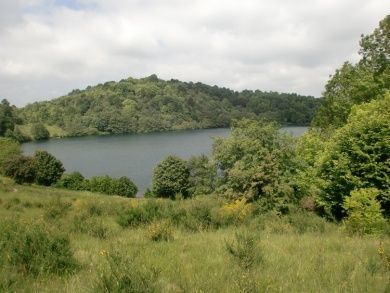 Weinfelder Maar (Totenmaar) zwischen Schalkenmehren und Daun 