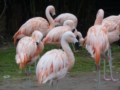 Zoo Landau in der Pfalz