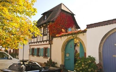 Historischer Winzerhof - Ferienhaus