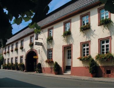 Weingut & Gästehaus Jörg & Georg Mühlmichel - Pfalz