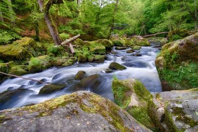 Irreler Wasserfälle im Naturpark Südeifel