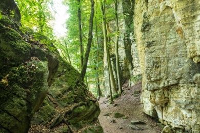 Naturparkzentrum Teufelsschlucht und Naturpark Südeifel