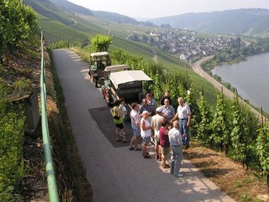 Ferienweingut Hirschen