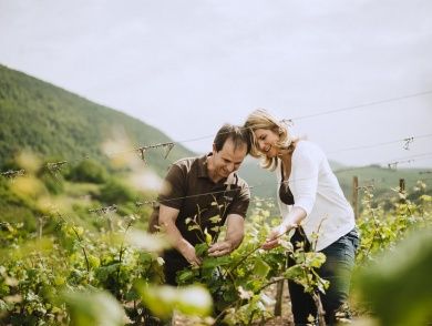 Weingut Holger Alt - Gästezimmer und Ferienwohnungen