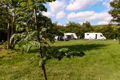 Camping Nahemühle EST.1983 - Traditon meets Veränderung 