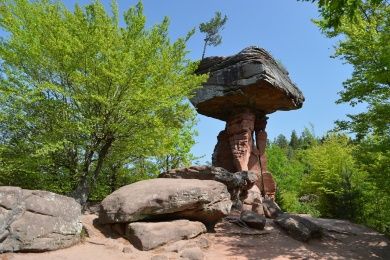 Erlebnispark Teufelstisch in Hinterweidenthal