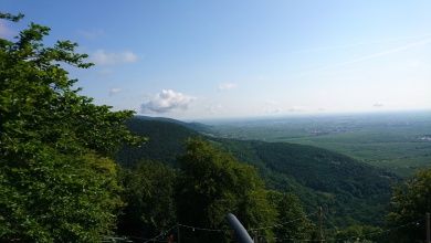 Blick von der Rietburg