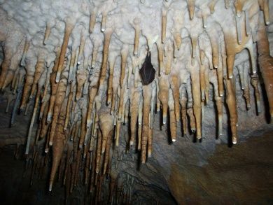 Niedaltdorfer Tropfsteinhöhle