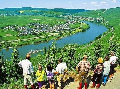 Weingut-Straußwirtschaft Klären-Maringer - Wohnmobilstellplätze Mosel