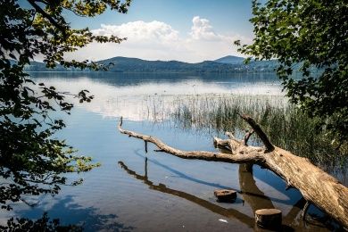 Blick auf Laacher See