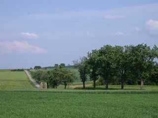 Steine an der Grenze