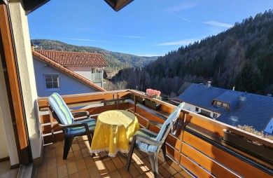 Apartment Traumblick mit Balkon Todtmoos