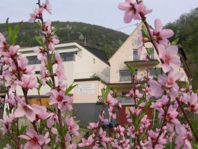 Weingut & Ferienwohnungen Stefanie Vornhecke