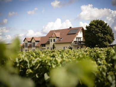 Wein- & Sektgut Gästezimmer Otto Becker