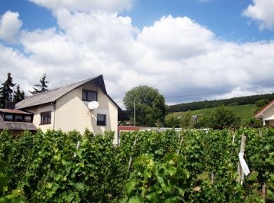 Weingut & Ferienwohnung Winfried Winter - Urlaub auf dem Winzerhof - Mittelmosel