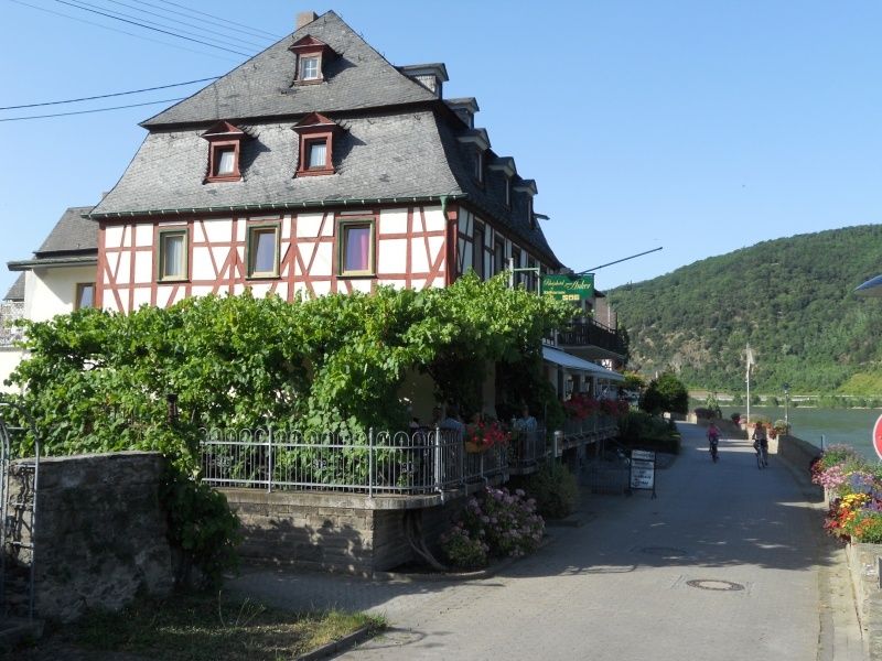 Rheinhotel - Gasthaus - Pension Zum Anker