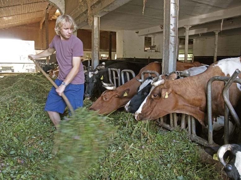 Familien- und Gruppenherberge im alten Hof - Vogelsberg - Bauernhof erleben