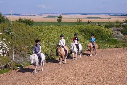 Im schönen Pfälzer Land