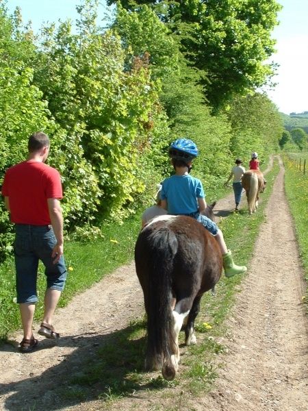 Ponyspaziergang