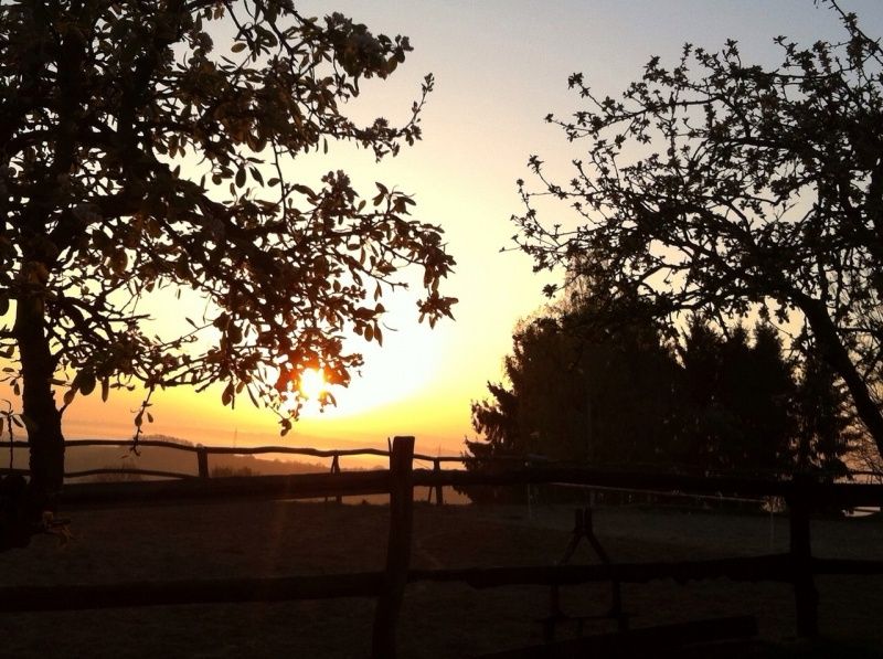 Sonnenaufgang über dem Maifeld