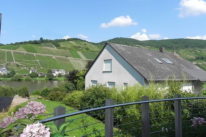 Aussicht aus Ferienwohnung 1