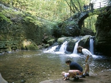 ... schauen Sie sich den malerischen Schiessentümpel im Müllerthal an. Sie können auch eine Kanufahrt auf der Sauer machen. Wir haben auch einen Kanuverleih ...