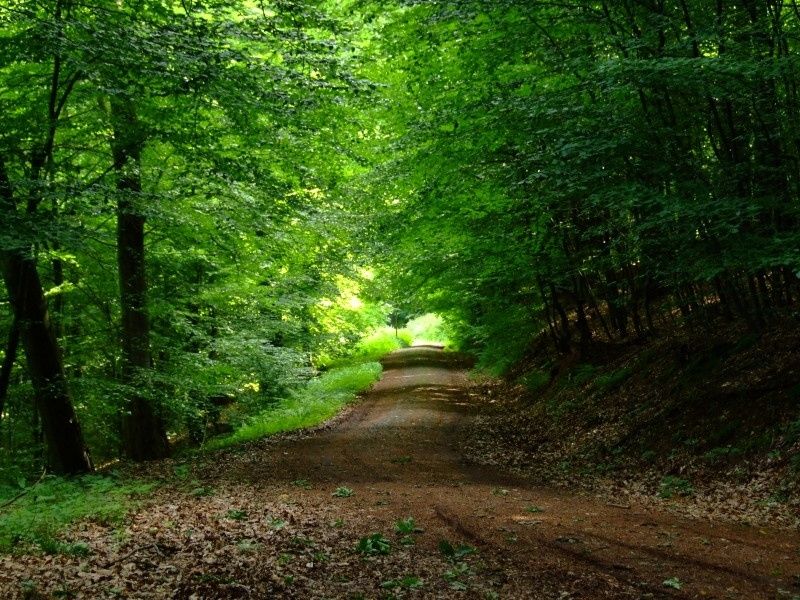 Ferien im Saarland - Ferienhäuser Bellana in Losheim am See