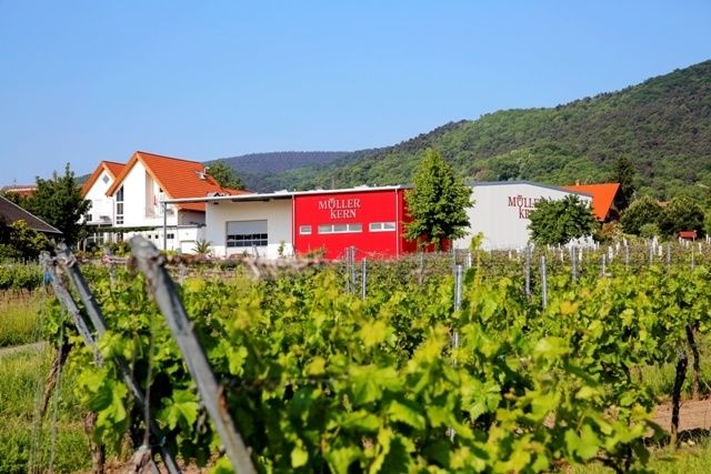 Ferienwohnungen am Hambacher Schlossberg & Weingut Müller-Kern