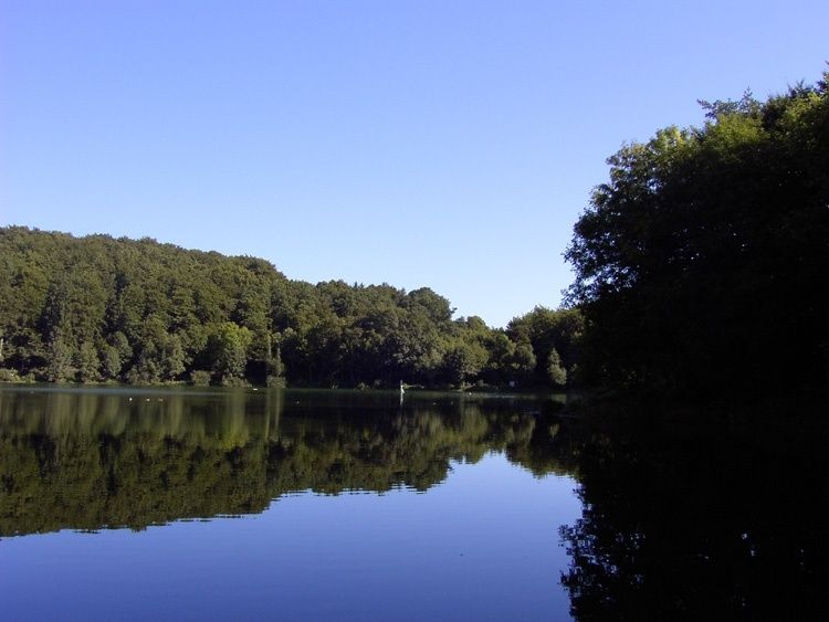 Holzmaar bei Gillenfeld