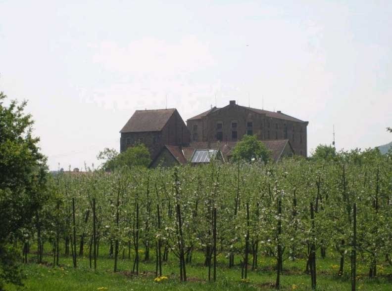 Biohof Bannmühle