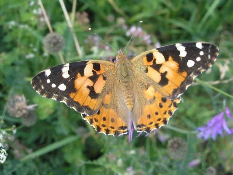 Natur erfahren