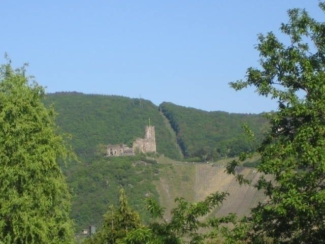 Aussicht auf Burg