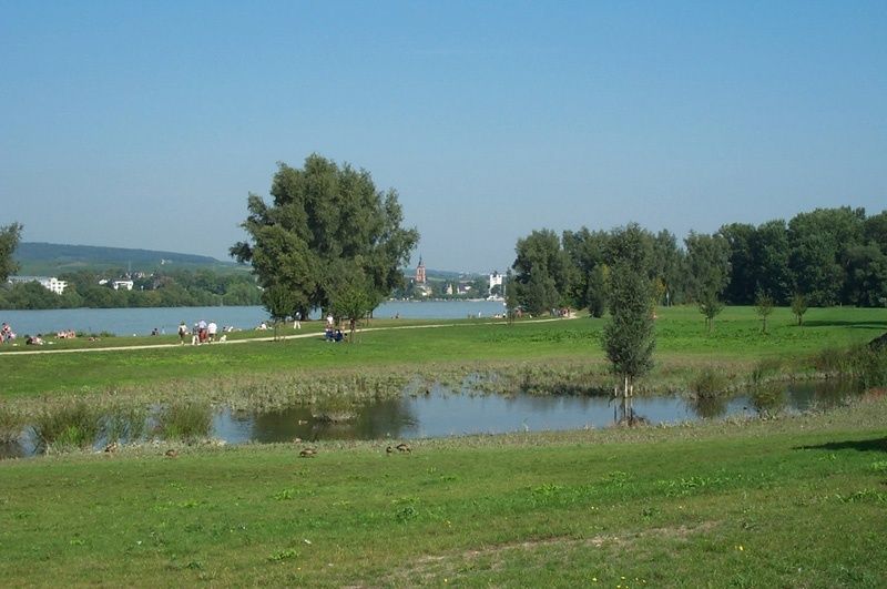 Hotel Zum Neuen Schwan - direkt am Rhein