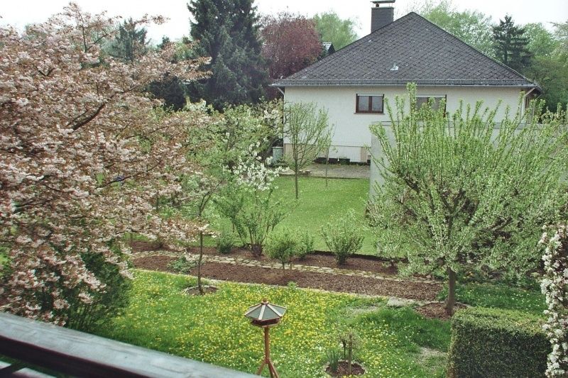 Blick in den Garten (Frühjahr)