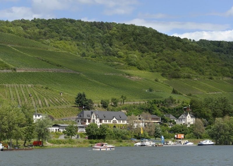 Blick vom Rhein auf die Fewo