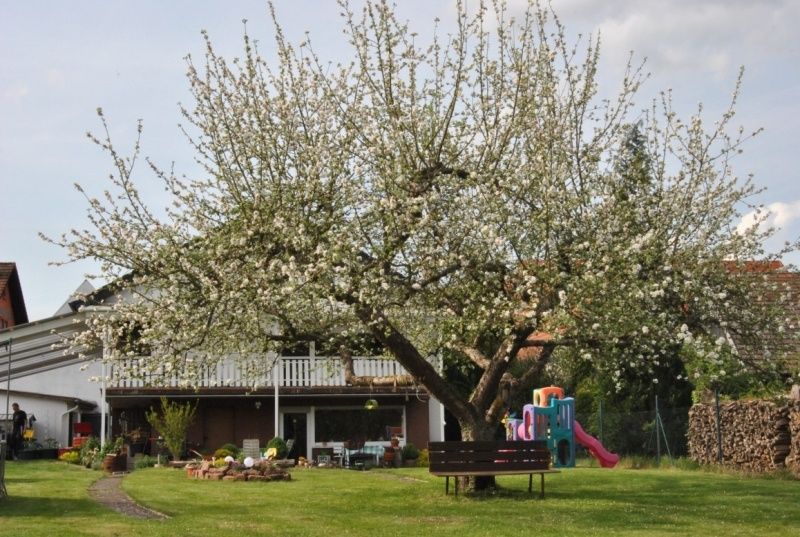 Ferienwohnung Cäcilia