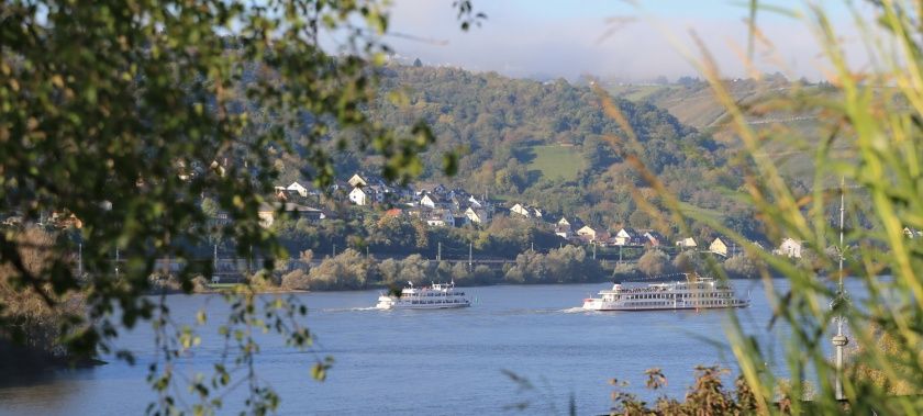 Ausblick vom Garten