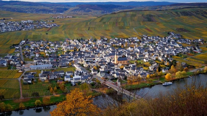 Blick auf Trittenheim