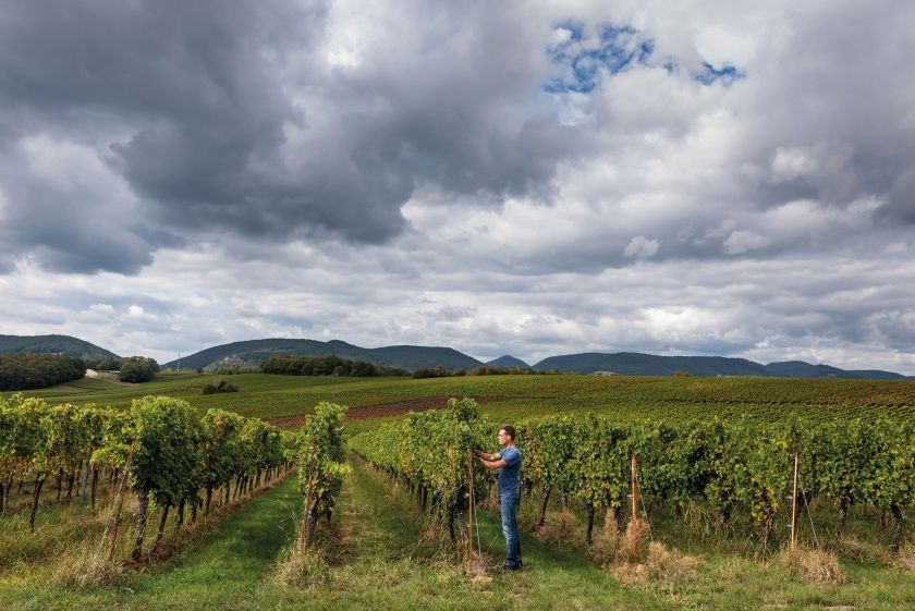 Weingut mit Familiensinn