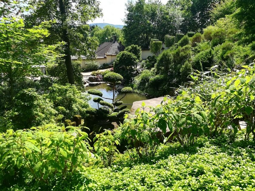 Japanischer Garten