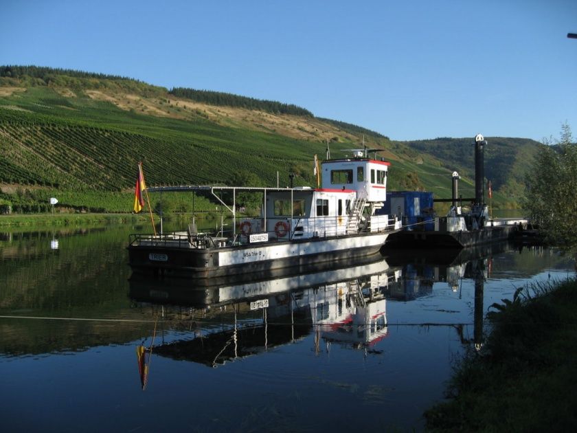 Gästehaus Thomas-preiswerte Unterkünfte, ruhiges + schönes Haus; Weinlese erleben