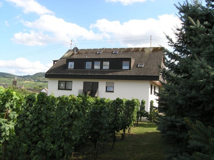 Gästehaus Thomas-preiswerte Unterkünfte, ruhiges + schönes Haus; Weinlese erleben