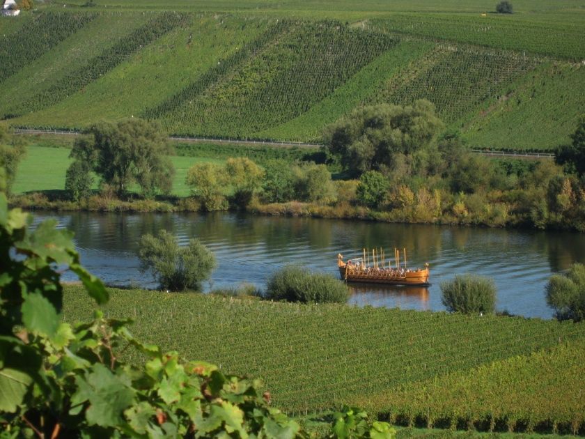 Gästehaus Thomas-preiswerte Unterkünfte, ruhiges + schönes Haus; Weinlese erleben