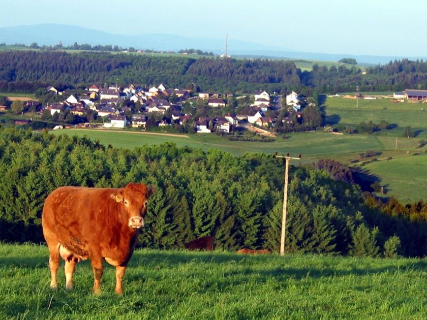 Blick auf Wollmerschied