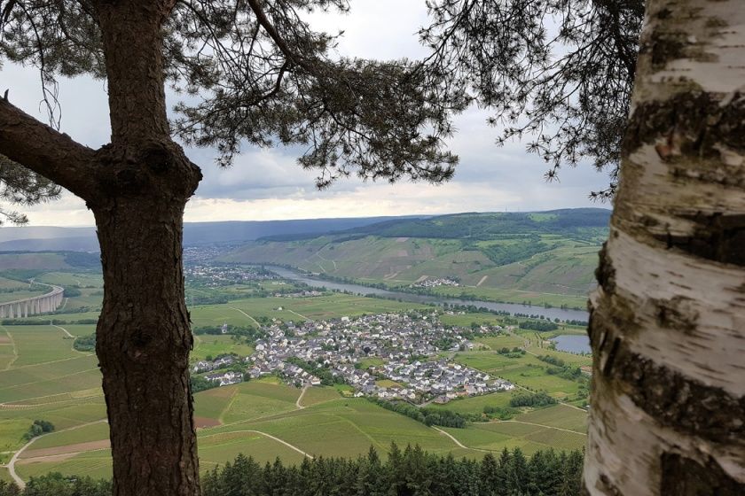 Gästehaus Weingut Weich