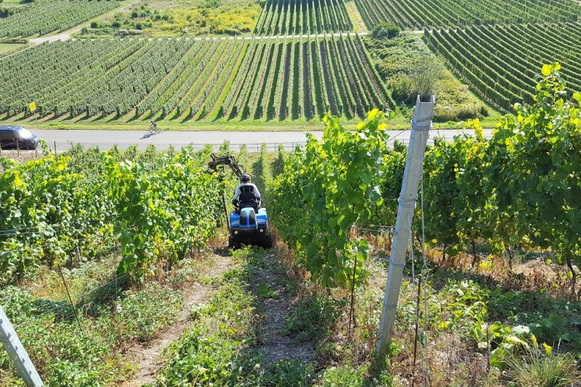 Gästehaus Weingut Weich